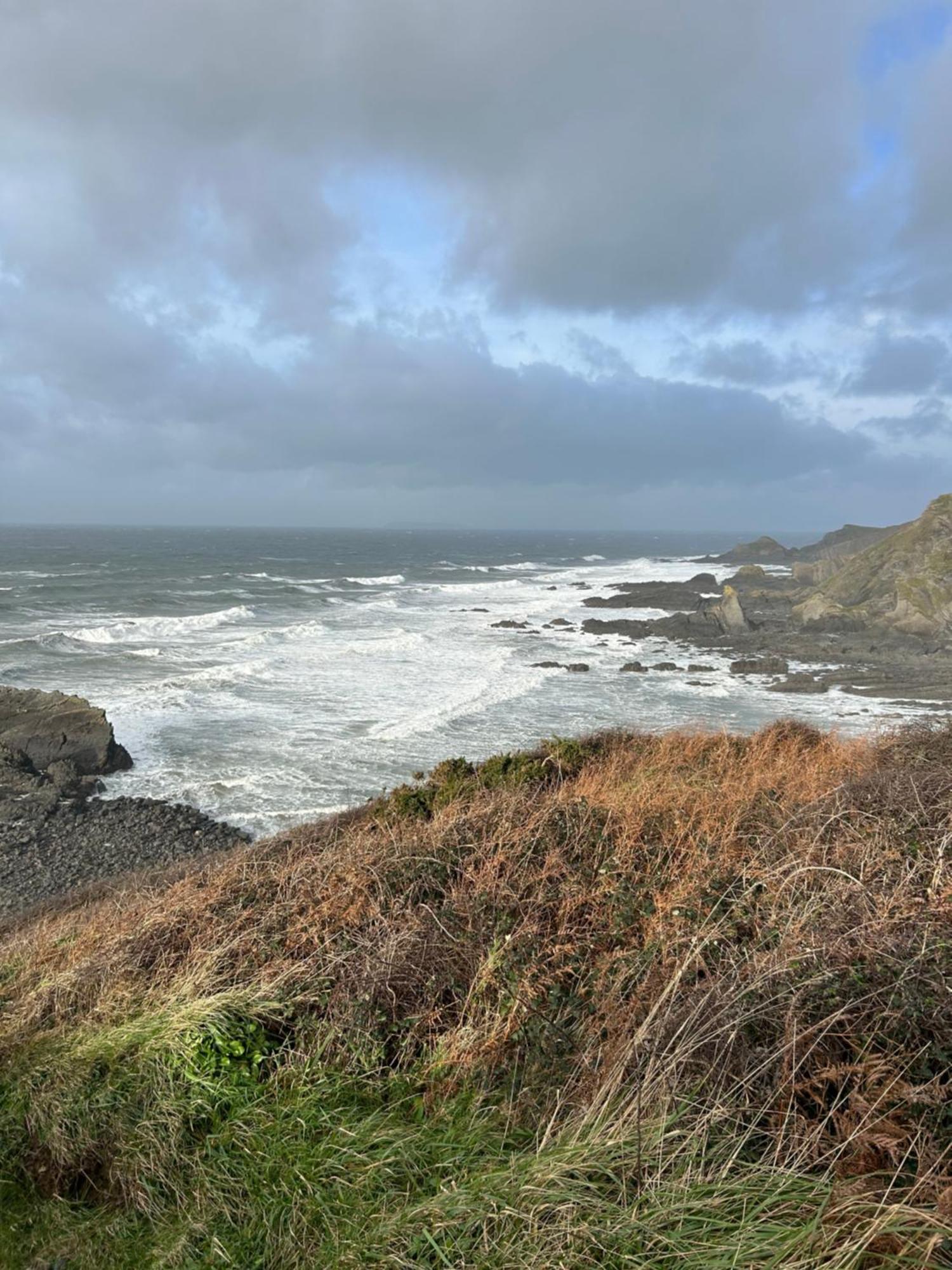 North Devon Seaside Cottage With Log Burner Bucks Mills Ngoại thất bức ảnh