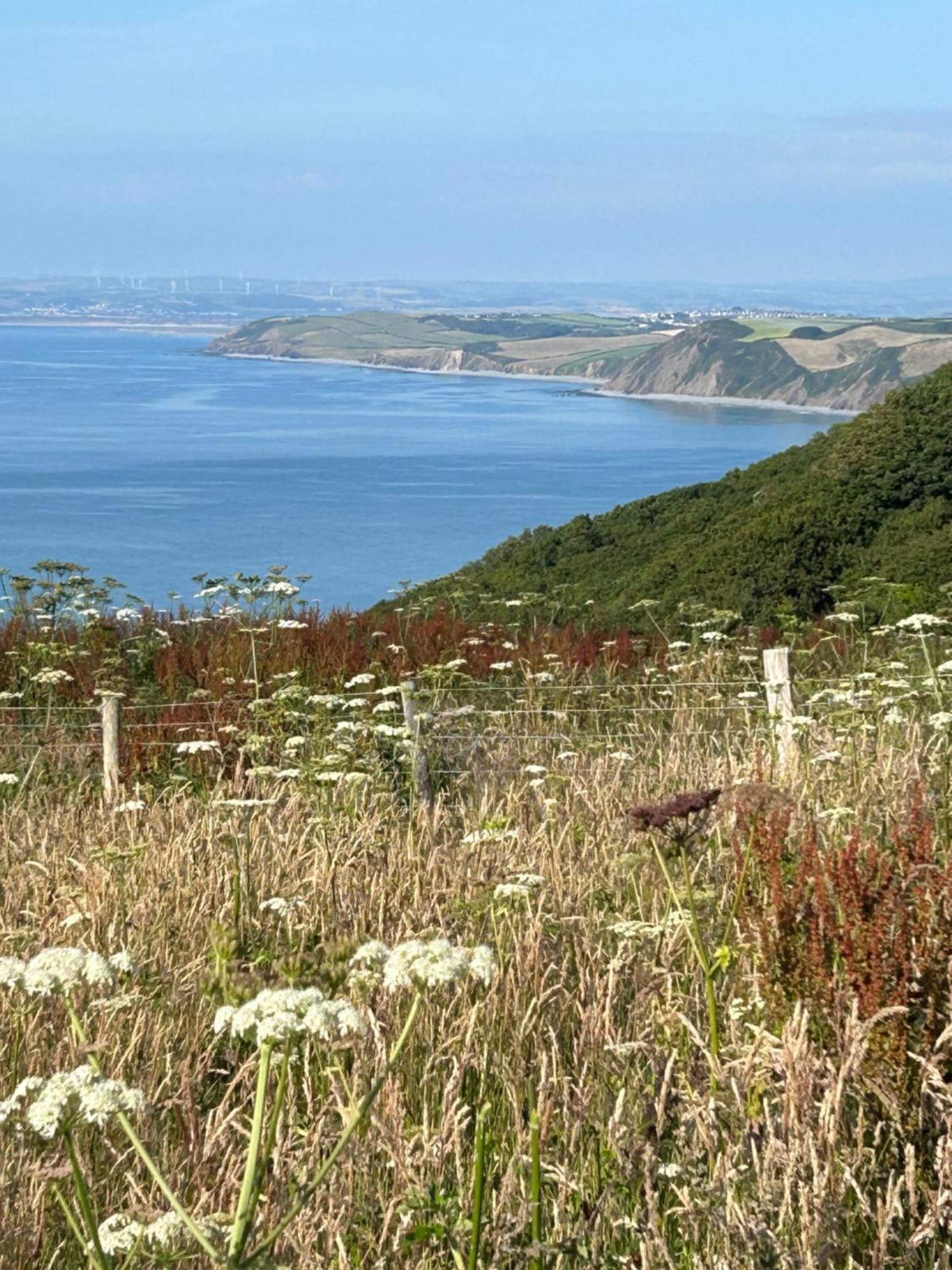 North Devon Seaside Cottage With Log Burner Bucks Mills Ngoại thất bức ảnh