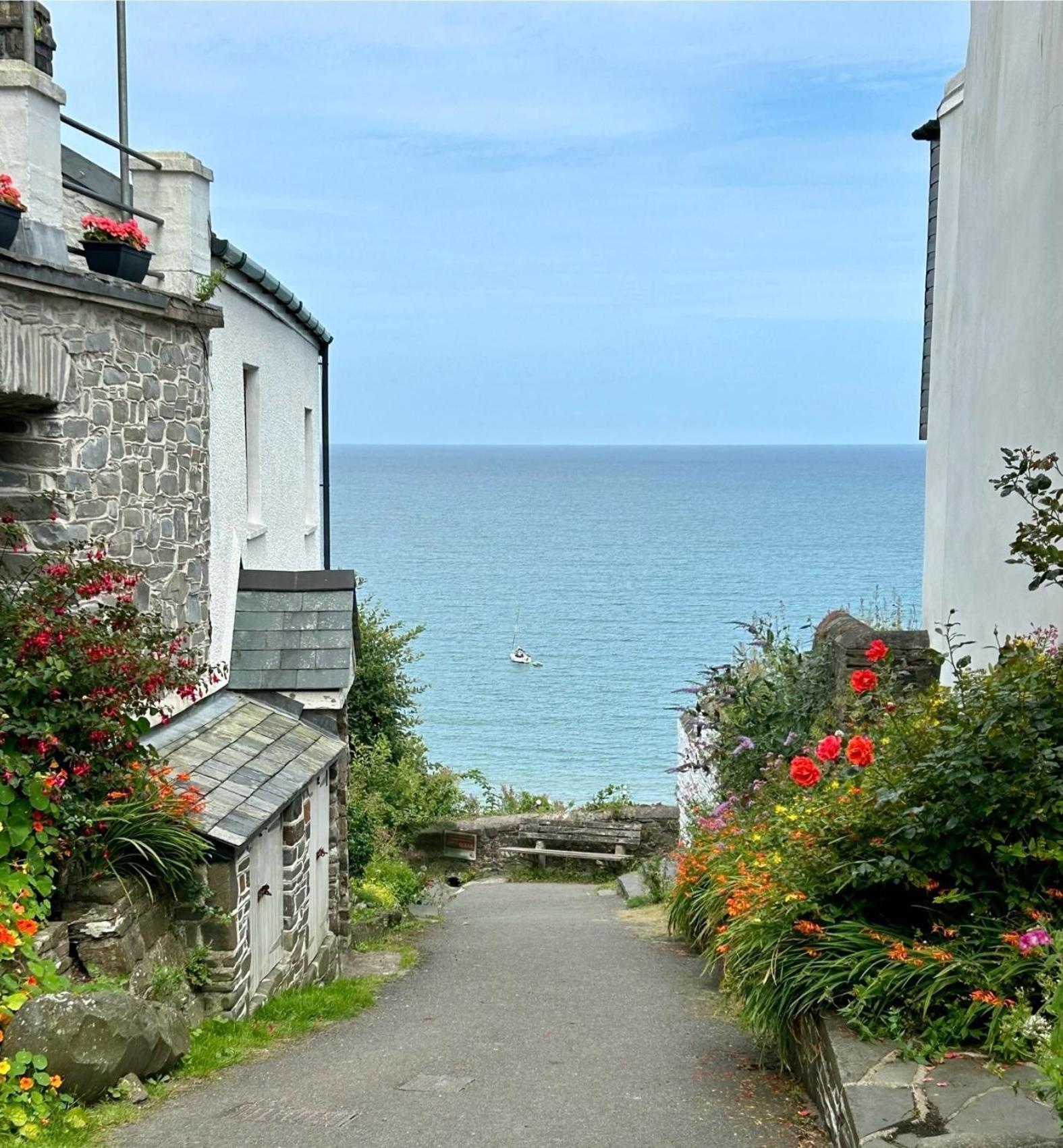 North Devon Seaside Cottage With Log Burner Bucks Mills Ngoại thất bức ảnh