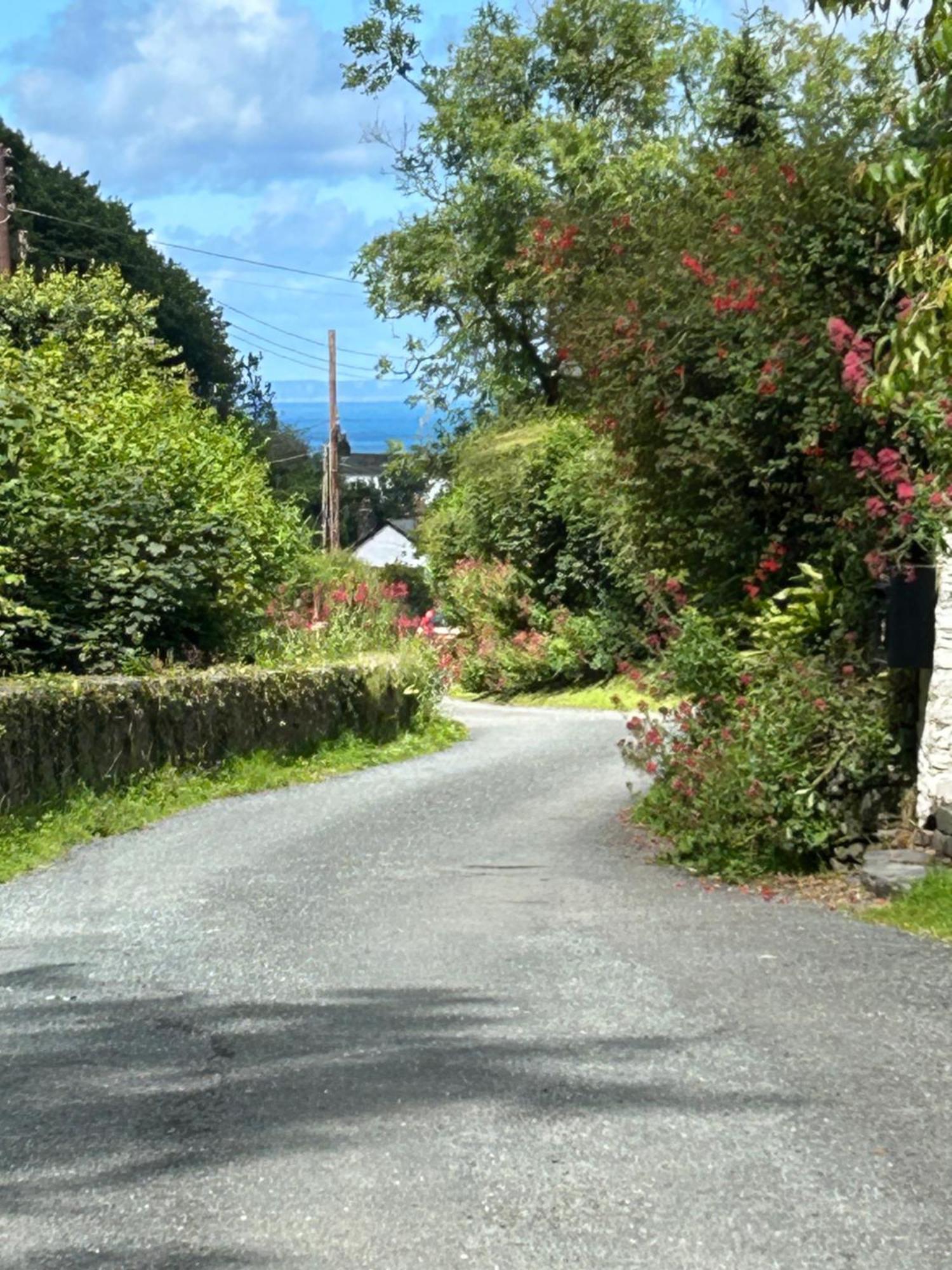 North Devon Seaside Cottage With Log Burner Bucks Mills Ngoại thất bức ảnh