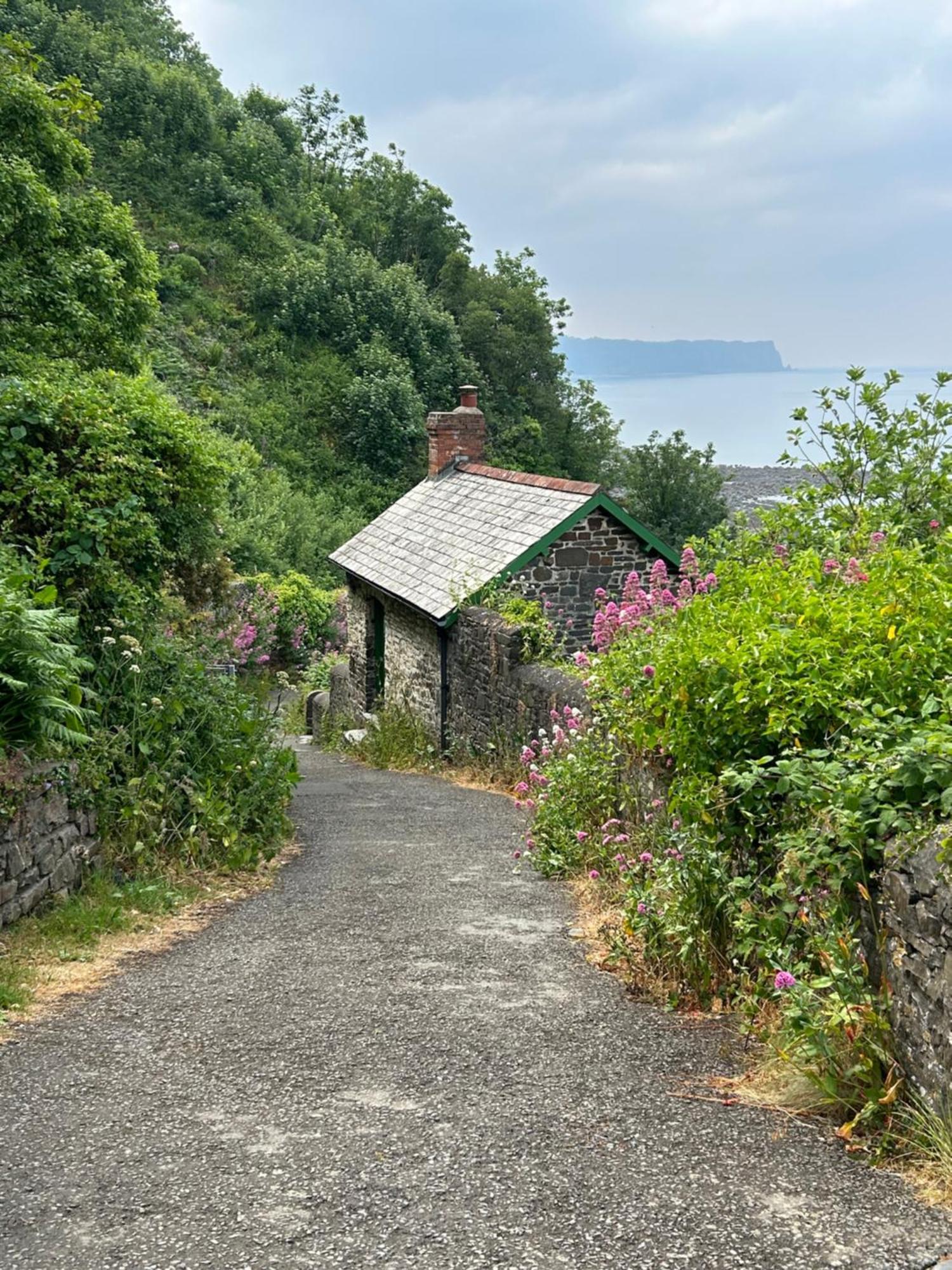 North Devon Seaside Cottage With Log Burner Bucks Mills Ngoại thất bức ảnh